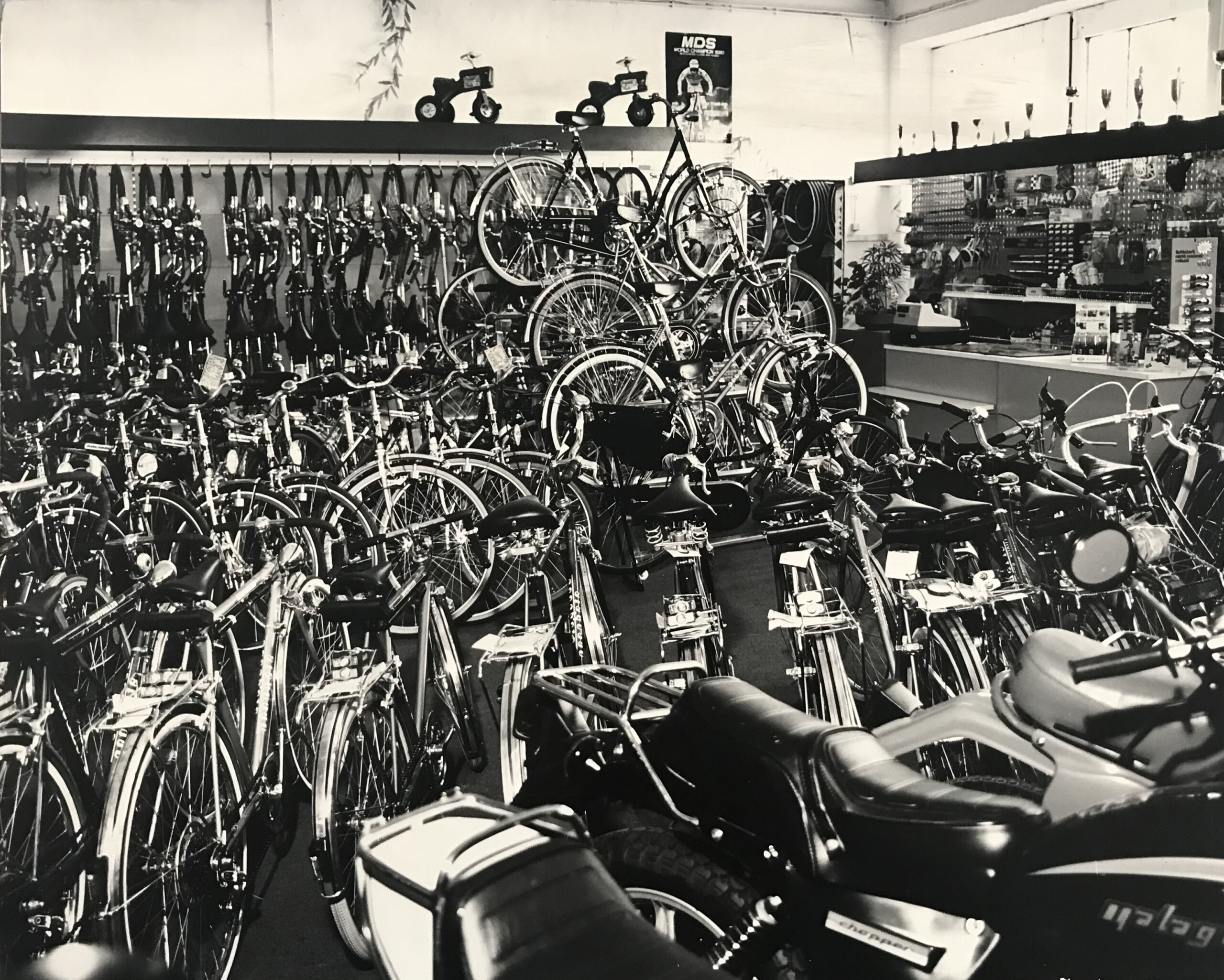 Foto 10.05.18, 15 27 13